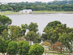 Waterfront Isle (D16), Condominium #430819691